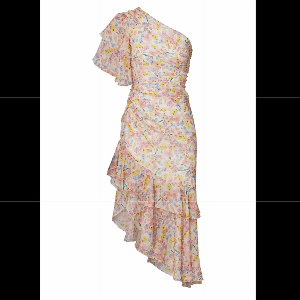 NEW AMUR floral Clayton Dress size 10